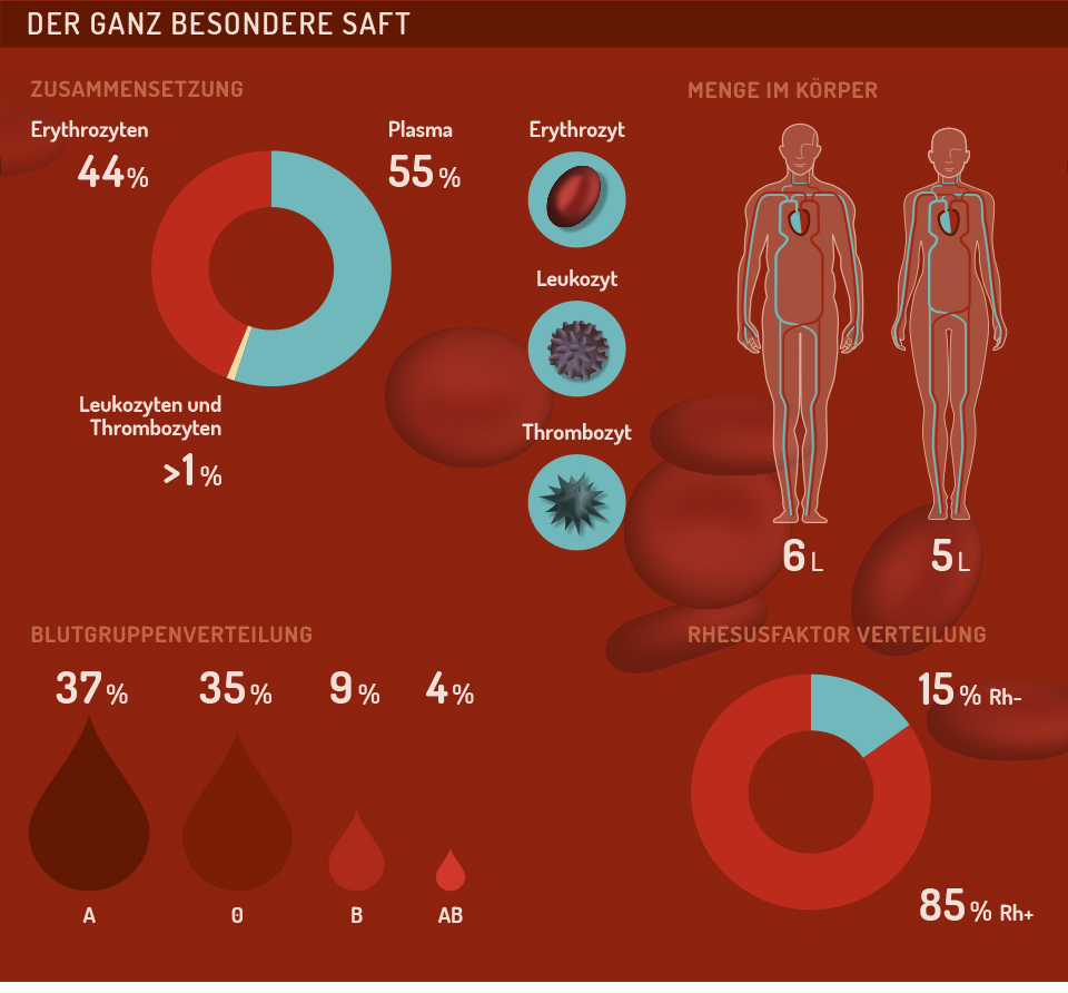 Infografik Blut